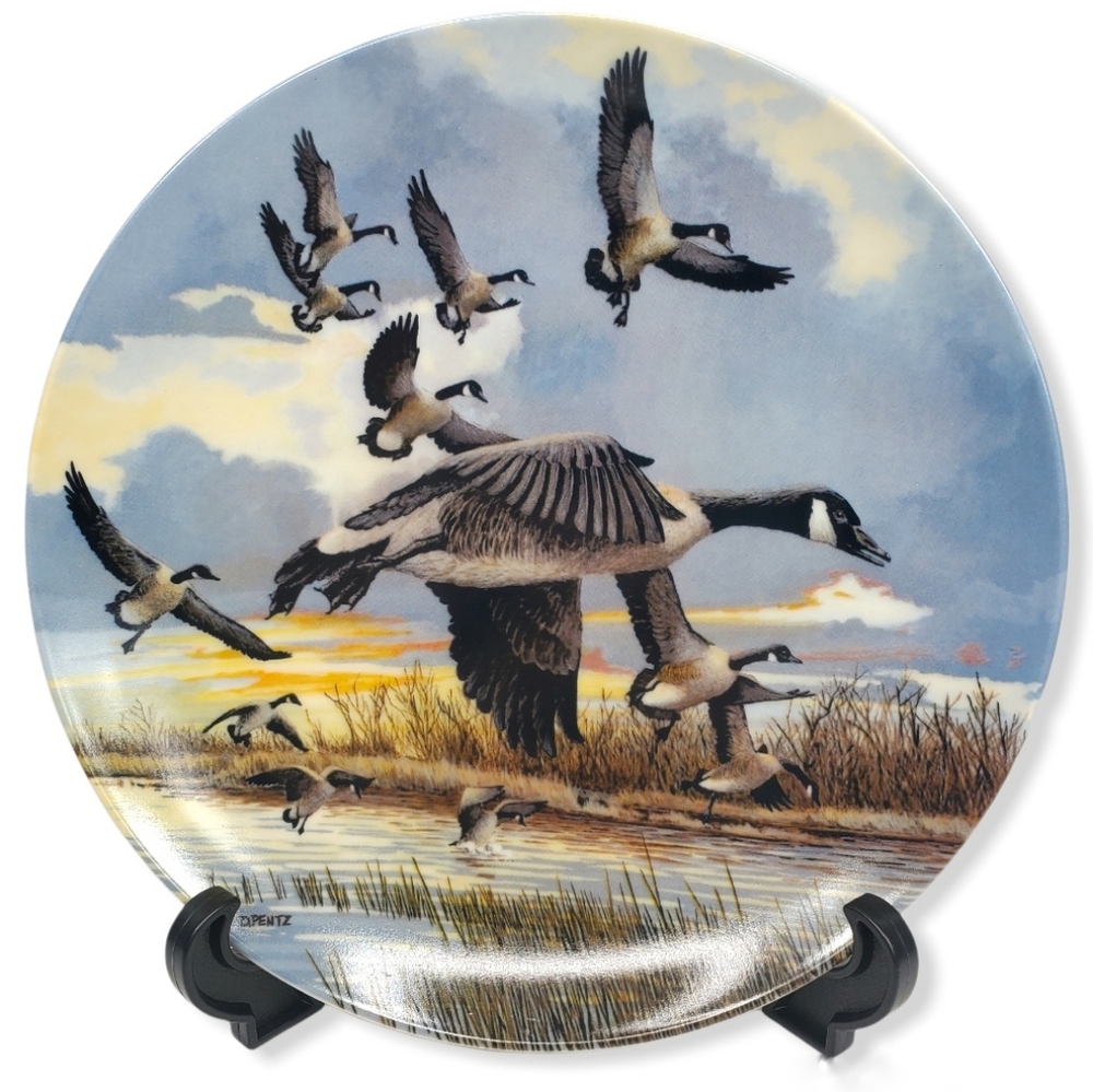 Donald Pentz 86' "The Landing" Wings Upon The Wind